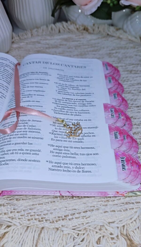 Biblia Rosa Flor de Cerezo