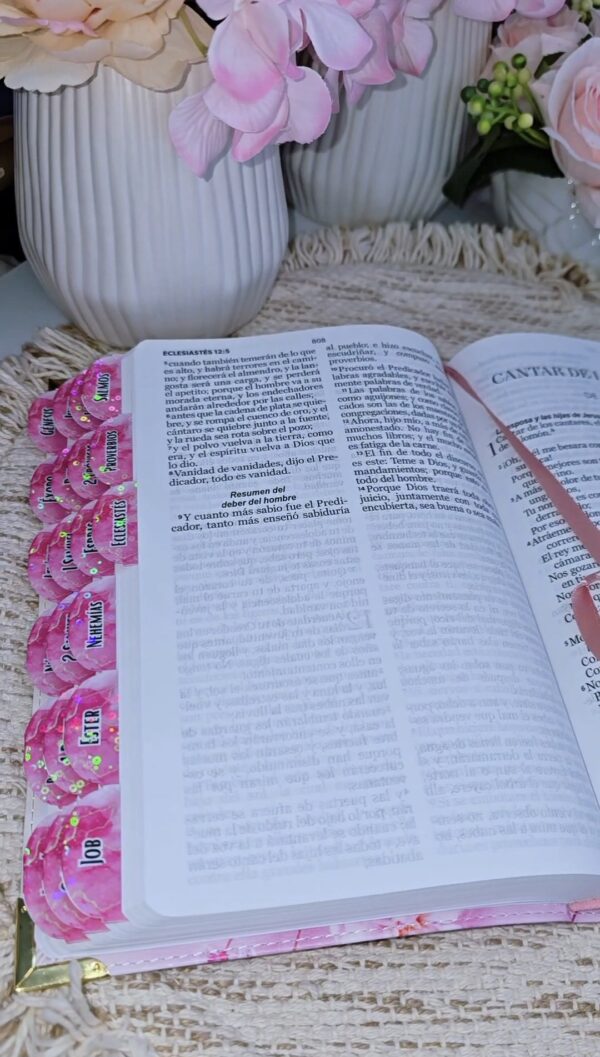 Biblia Rosa Flor de Cerezo