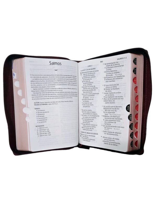 Biblia Cafe Corinto  Con Versículo