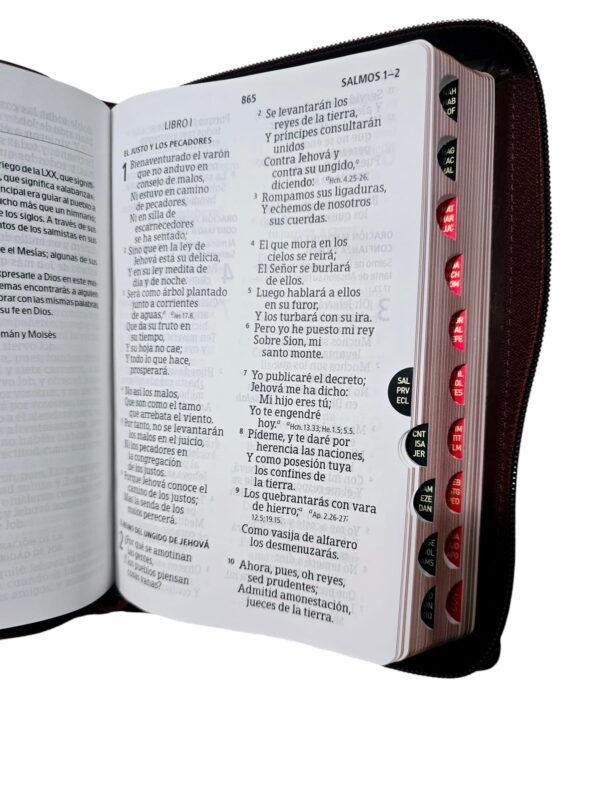Biblia Cafe Corinto  Con Versículo
