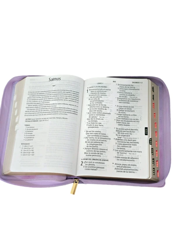 Biblia-RV-Violeta2 Biblia Letra Gigante Lila Floral