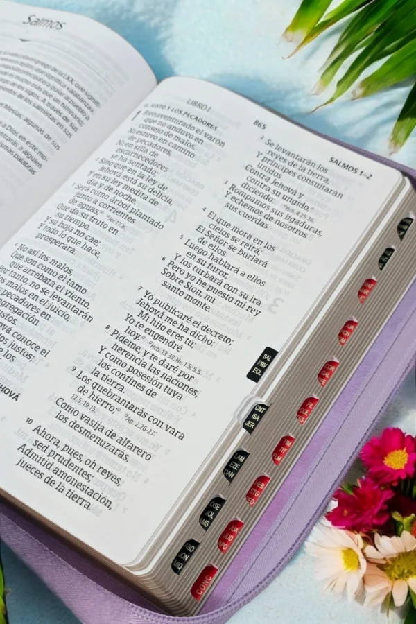 Biblia-RV-Violeta3 Biblia Letra Gigante Lila Floral