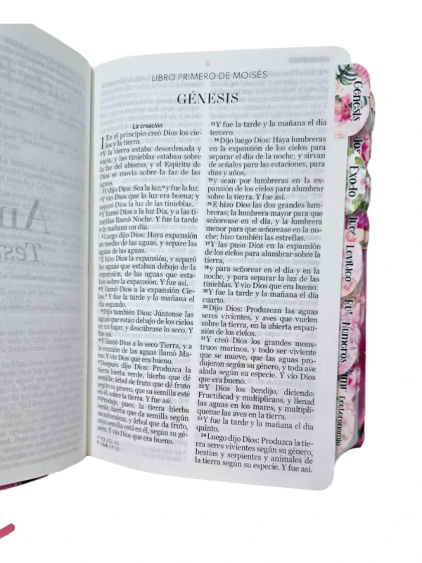 Biblia Tulipanes Rosa