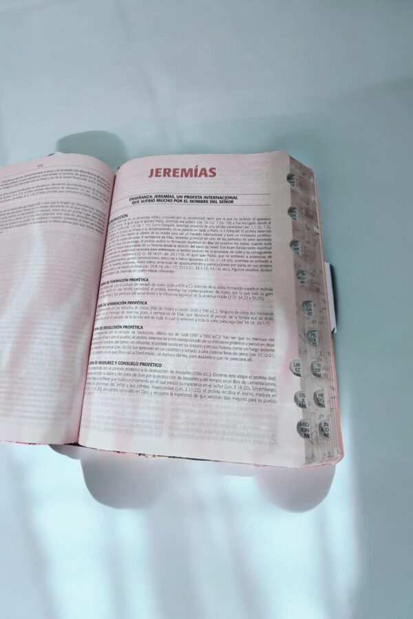 Biblia Para La Predicación De Avivamiento.