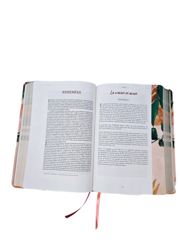 Biblia Devocional Centrada En Cristo.