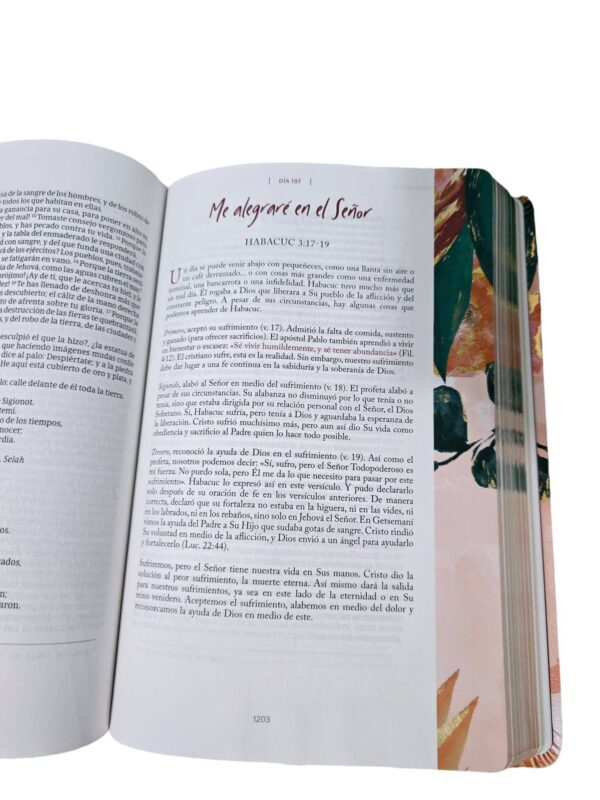 Biblia Devocional Centrada En Cristo.