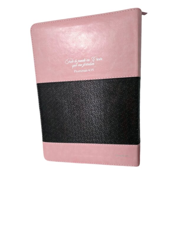 Biblia  Letra Gigante Rosa y Café