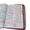 Biblia  Letra Gigante Rosa y Café