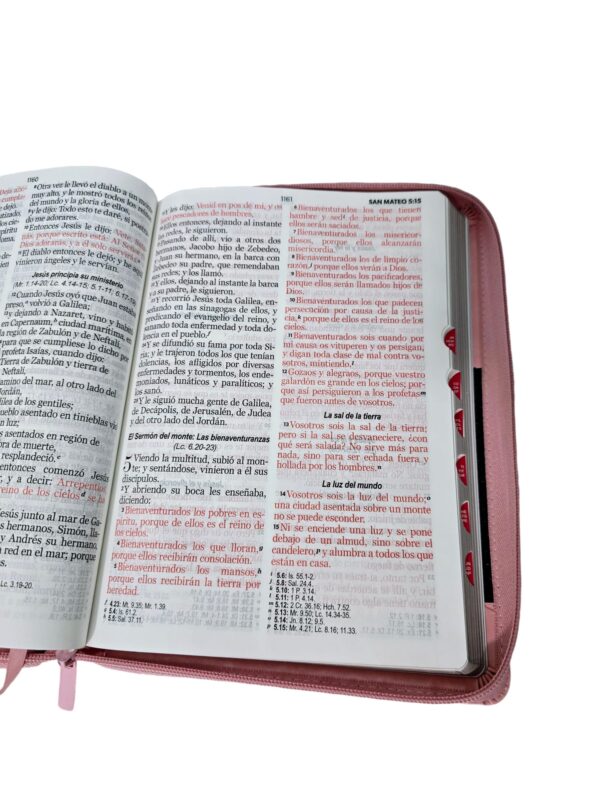Biblia  Letra Gigante Rosa y Café