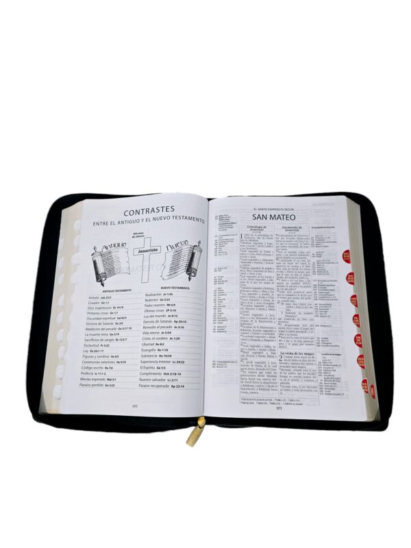 Biblia De Estudio Thompson