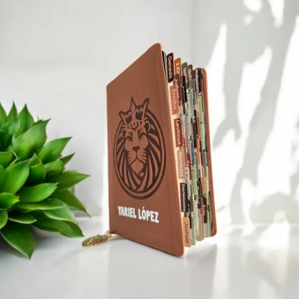 BIBLIA CAFE EN INGLÉS PARA NIÑO
