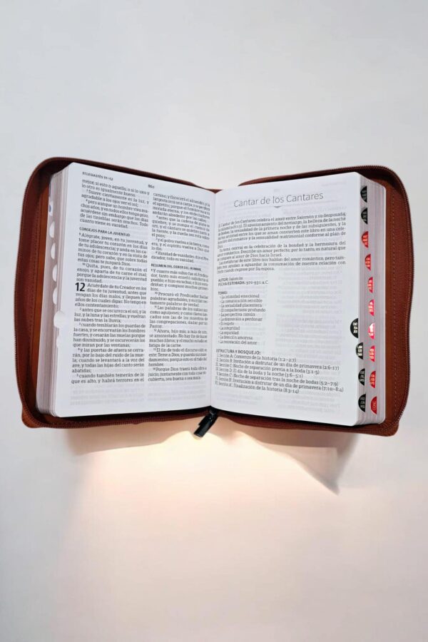 Biblia Color Caramelo con Versículo