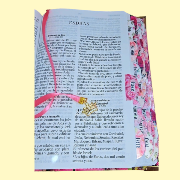 Biblia Tulipanes Rosa