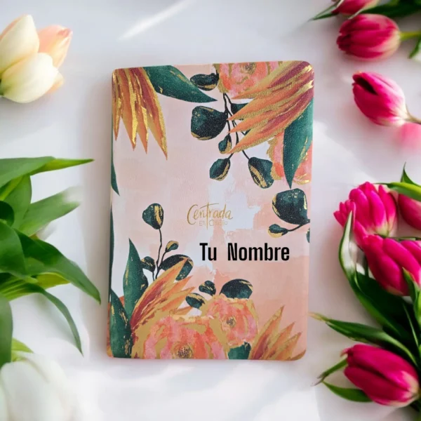 Biblia Devocional Centrada En Cristo.