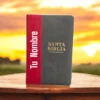Biblia Letra Gigante Vino Y Gris
