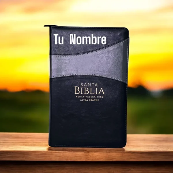 Biblia Duo Tono Negro y Gris.