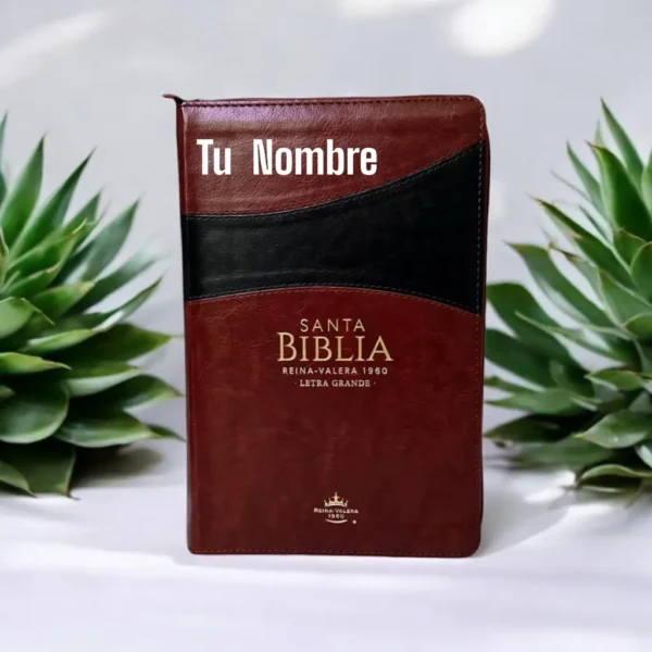 1000054133 Biblia Duo Tono Marrón y Café.