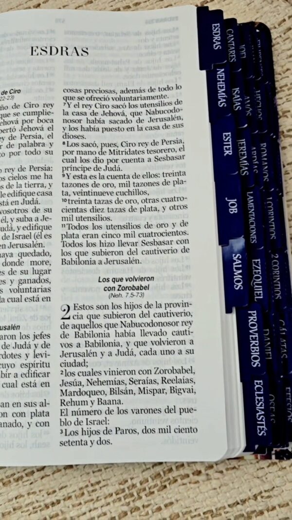 2024/10/1000456572.jpg Biblia de la Espada