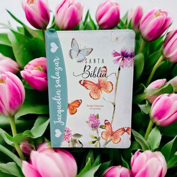 Biblia turquesa con mariposas