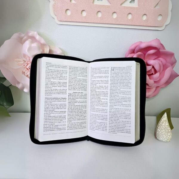 Biblia Edición portátil