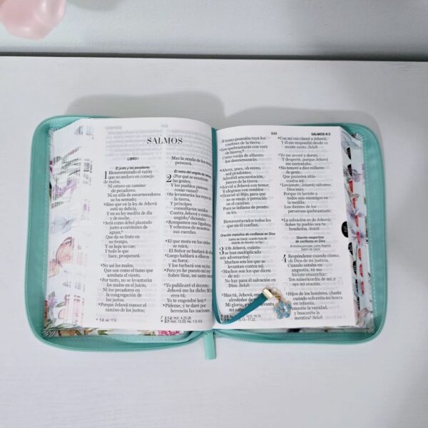 Biblia turquesa con mariposas