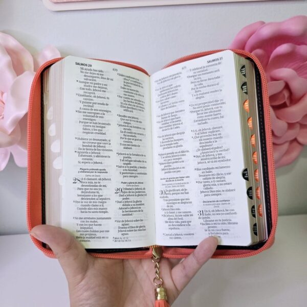Biblia Chequera Coral y Beige