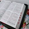 Biblia Letra Gigante Vino Y Gris