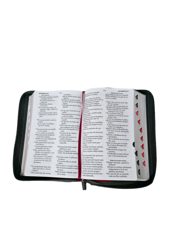 Biblia Letra Gigante Vino Y Gris