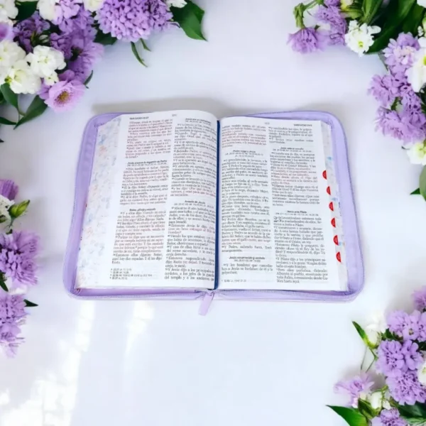Biblia Mariposas Lila