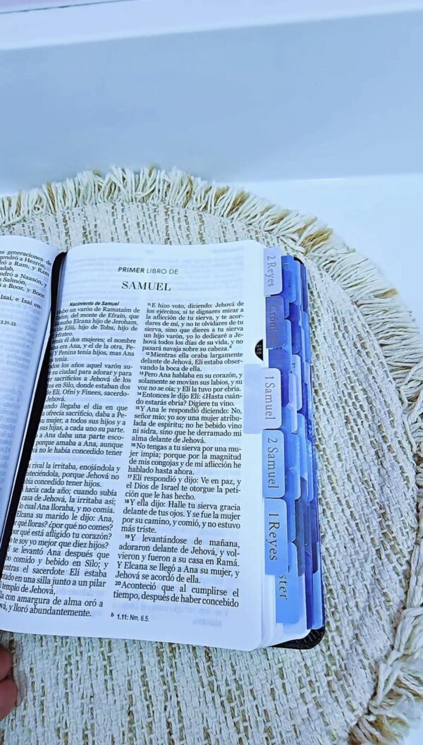 Biblia RV 1960 Letra Grande Negra Aguila