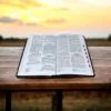 Biblia RV 1960 Letra Grande Negra Aguila