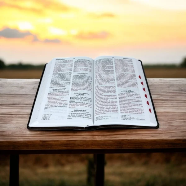 Biblia RV 1960 Letra Grande Negra Aguila