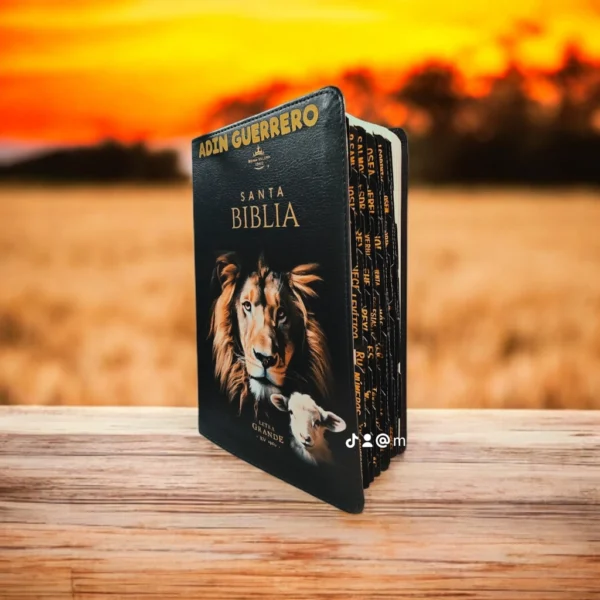 Biblia Letra Grande RV 1960 Negro León