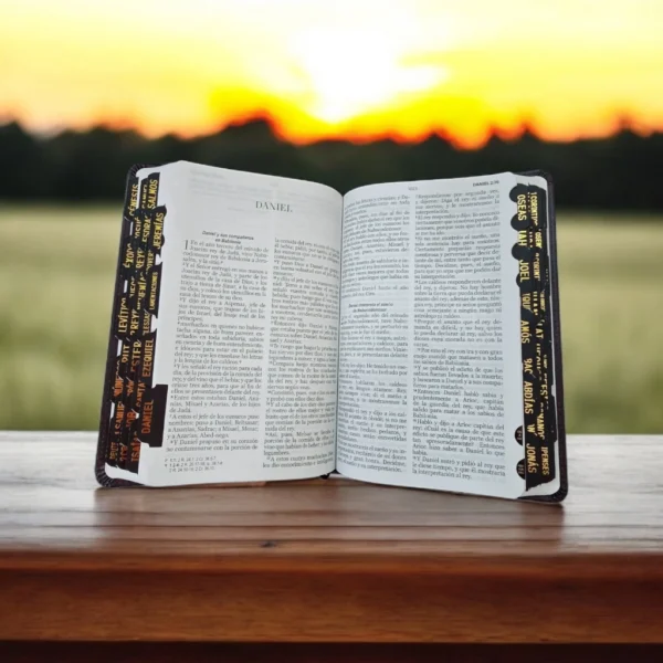 Biblia Letra Grande RV 1960 Negro León