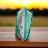 Biblia Verde Floral