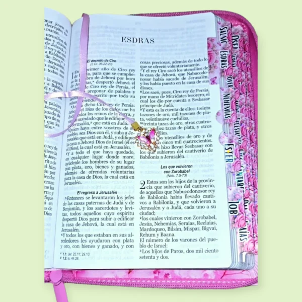 Biblia Rosa Cerezo Cierre RV 1960