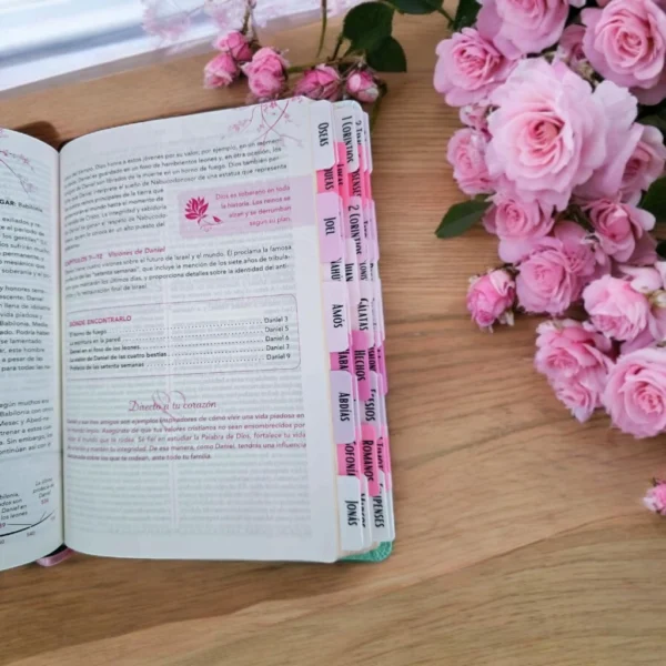 Biblia de la Mujer RV1960 con Diario, Elizabeth George