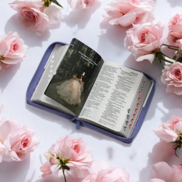 BIBLIA QUINCEAÑERA MORADA