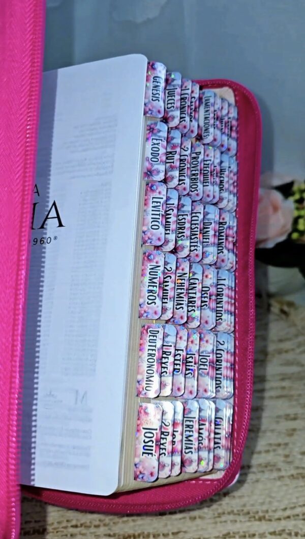 Biblia Fuscia Letra Gigante 14 puntos