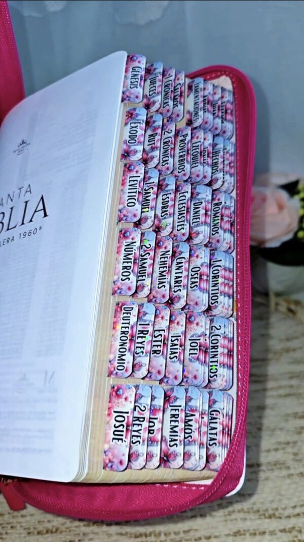 Biblia Fuscia Letra Gigante 14 puntos