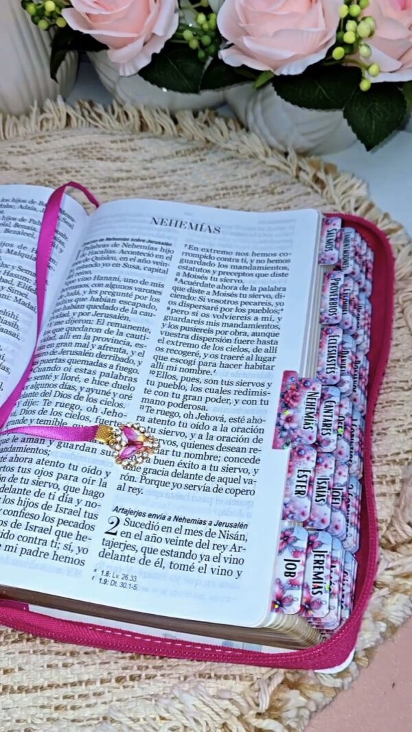 Biblia Fuscia Letra Gigante 14 puntos