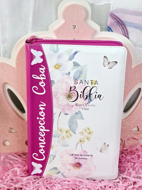 Biblia Fuscia Letra Gigante 14 puntos