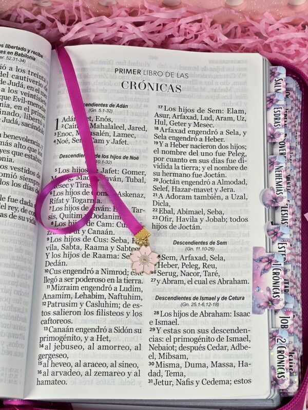 Biblia Fuscia Letra Gigante 14 puntos