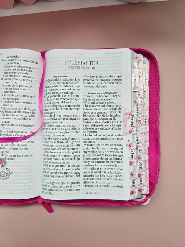 Biblia Fuscia Letra Gigante 14 puntos