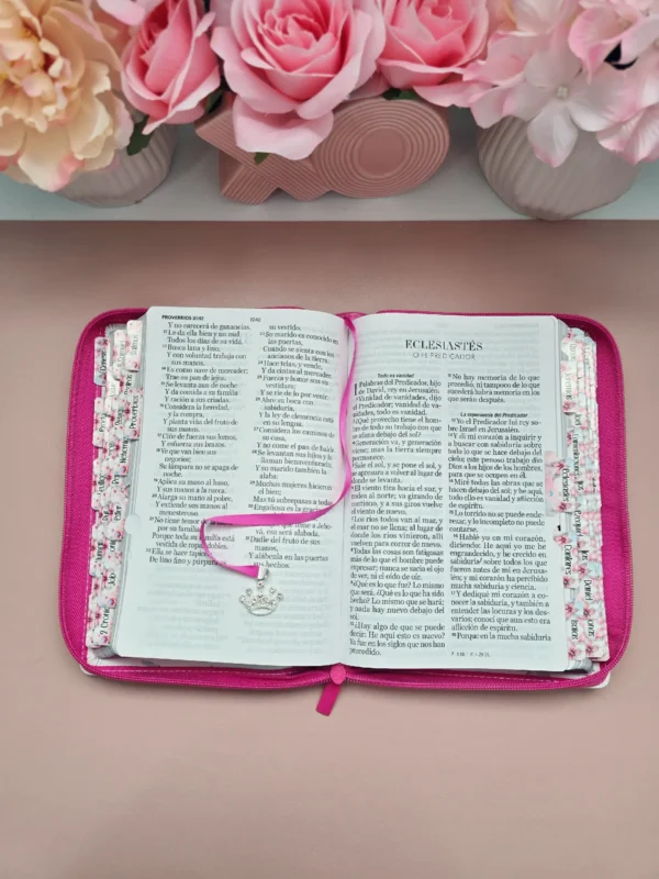 Biblia Fuscia Letra Gigante 14 puntos