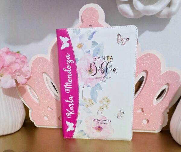 Biblia Fuscia Letra Gigante 14 puntos