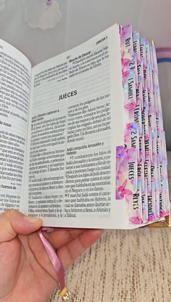 Biblia Mariposa  Letra Grande 11 Puntos RV1960