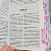 Biblia Mariposa  Letra Grande 11 Puntos RV1960