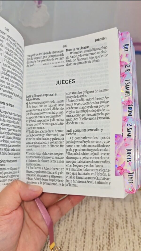 Biblia Mariposa  Letra Grande 11 Puntos RV1960