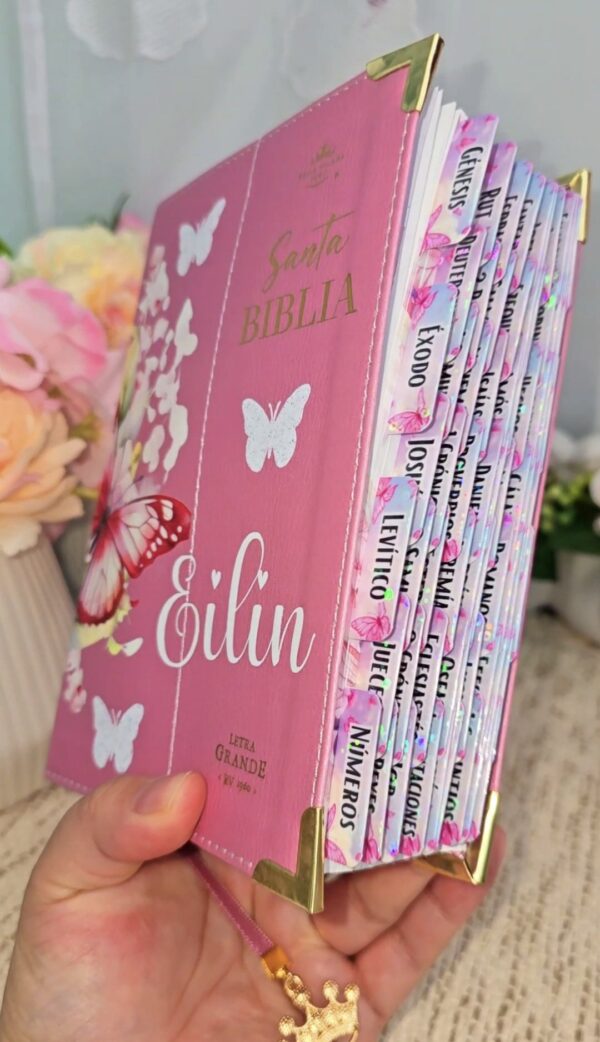 Biblia Mariposa  Letra Grande 11 Puntos RV1960